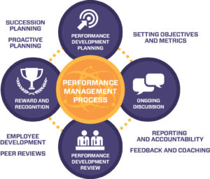 Performance Improvement Convergence (PIC) – The Perpejulant Institute